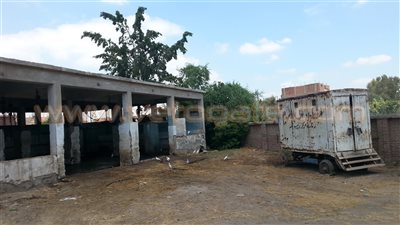 مجازر ديرب نجم خارج نطاق الخدمة بسبب الإهمال وانعدام الرقابة