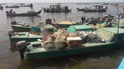 أسامة عسكر يطلق شارة بدء موسم الصيد ببحيرة البردويل بشمال سيناء