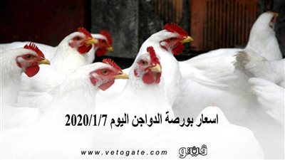 اسعار بورصة الدواجن اليوم 2020/1/7