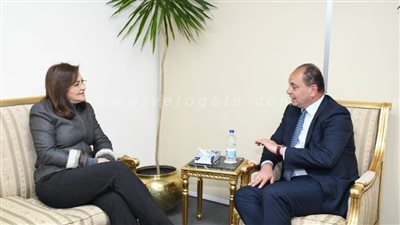 وزيرة التخطيط تبحث مع رئيس شركة 