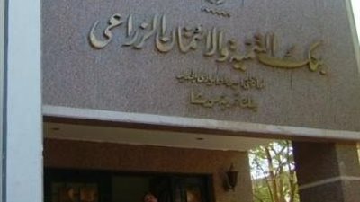 لجان من «الصحة» و«التموين» للتفتيش على مخازن القمح بالوادي الجديد