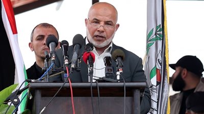 أبو نعيم: إدخال مصر الوقود إلى غزة سيكون له مردود إيجابي