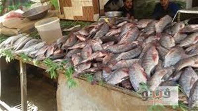أسعار الأسماك اليوم 24/ 2/ 2019.. البلطي يسجل 23.50 جنيه