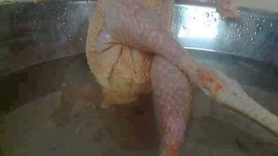 ساخرون.. الفراخ مع زيادات الضرائب: 