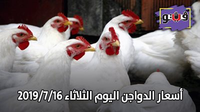 أسعار الدواجن اليوم الثلاثاء 2019/7/16
