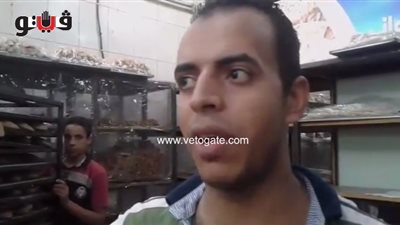 بالفيديو.. أسعار كعك وبسكويت العيد في الجيزة