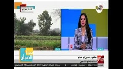 نقيب الفلاحين يكشف السبب الرئيسي من ارتفاع سعر الطماطم (فيديو)