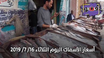 أسعار الأسماك اليوم الثلاثاء 16/ 7/ 2019 | والبلطي بـ42 جنيها
