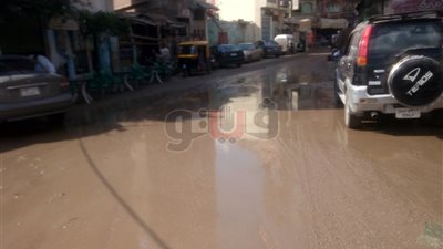 الأمطار تحول شوارع الشرقية إلى برك ومستنقعات (صور)