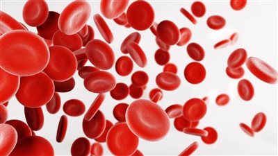 8 أطعمة تعالج الانيميا وتحمي من الإصابة بها