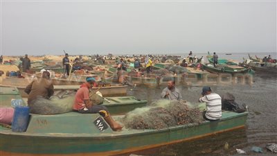 بالفيديو والصور.. افتتاح المرحلة الأولى من تطوير بحيرة البردويل