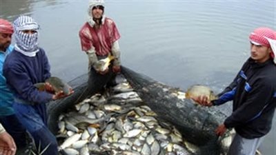 «القومي لعلوم البحار»: مساحة المصايد السمكية بمصر 13 مليون فدان