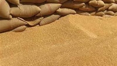 الزراعة: استلام 2 مليون و470 ألف طن قمح محلي
