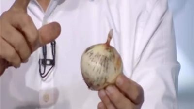 خبراء الطب والتغذية يحذرون: العفن الأسود بالبصل يسبب السرطان