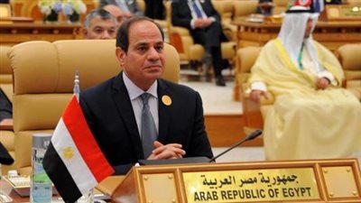 سكاي نيوز: كلمة السيسي فضحت جهل الإعلام الإخواني