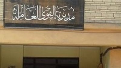 القوى العاملة: تعيين 2227 باحثا عن العمل بالقليوبية