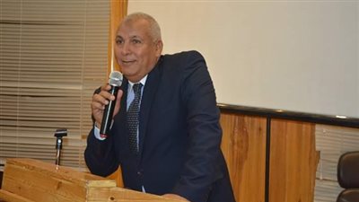 محافظ الوادي الجديد يوافق على تمليك أراضي المناطق الحرفية