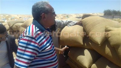 بالصور.. تقصي الحقائق بـ«النواب» تبدأ فحص عينات القمح بأسيوط
