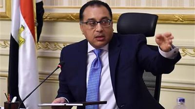 مجلس الوزراء يعلن حل مشكلة «سيدة الغسيل الكلوي» بالدقهلية