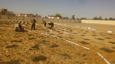 استكمال تنجيل ملاعب مدارس الوادي الجديد (صور)