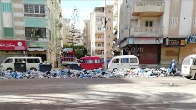 تراكم القمامة بشوارع شاطئ النخيل في الإسكندرية | صور