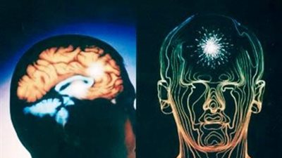 دراسة: هرمون بالمخ يساعد في علاج سرطان الدم