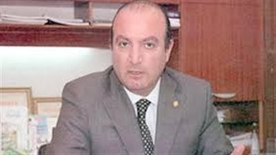 «المصري اليوناني» يستعرض خطة عمل المجلس.. الإثنين