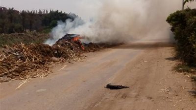 بالصور..أهالي طوخ يستغيثون من السحابة السوداء