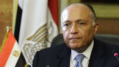 برلماني: الجولة العربية لوزير الخارجية تبحث آخر التطورات بالمنطقة