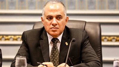 الري: لا يمكن منع زراعة الأرز نهائيًا