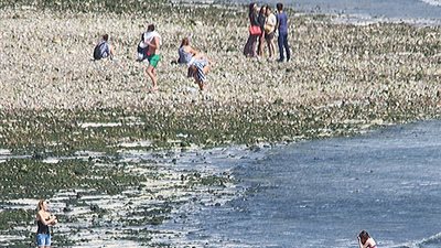 بالفيديو والصور.. مراهقون يخاطرون بحياتهم بالجلوس أعلى منحدر شاهق