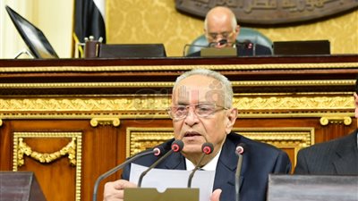 أبو شقة: قانون التحفظ على أموال الإرهابيين «استحقاق دستوري»