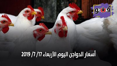 بورصة الدواجن العمومية | اسعار الدواجن اليوم الأربعاء 17/ 7/ 2019