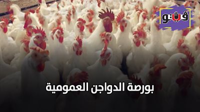 بورصة الدواجن العمومية| أسعار الدواجن ترتفع 3 جنيهات خلال أسبوع