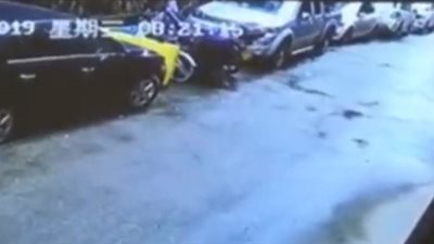 العناية الإلهية تنقذ امرأة وكلبها من الموت (فيديو)