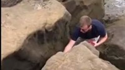 شاهد ماذا فعل شاب رأي كلب بحر عالقا بين الصخور (فيديو)
