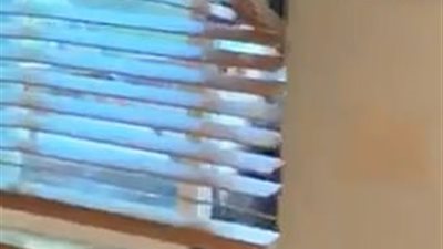 دب يقتحم منزل امرأة ويطاردها (فيديو وصور)