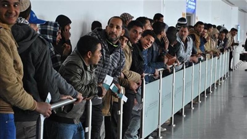  تأمين العمالة المصرية