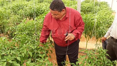 تطوير ودعم المدارس الزراعية والفنية في الوادي الجديد