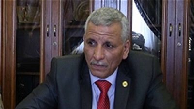 نائب: إجراء انتخابات المحليات في التوقيت المناسب ولا علاقة لها بالشيوخ