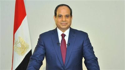 «المستوردين» تناقش آثار قرار السيسي برفع تعريفة الجمارك غدا