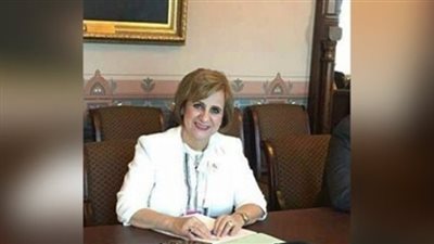 عضو خارجية النواب تطالب بفتح تحقيق في التعدى على مصرى بطائرة رومانية