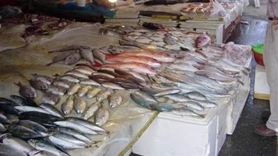 «فيلية بلطى» يسجل 58 جنيها «جملة»