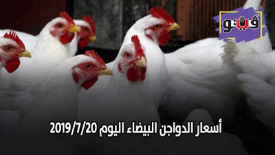 اسعار الدواجن البيضاء اليوم 2019/7/20