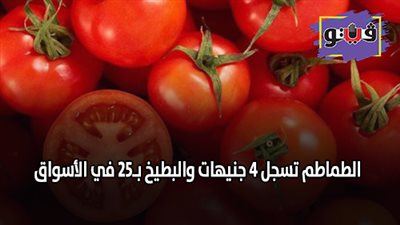 الطماطم تسجل 4 جنيهات والبطيخ بـ25 في الأسواق (فيديو)