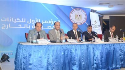 مكتسبات المصريين في الخارج من المؤتمر الأول للكيانات المصرية