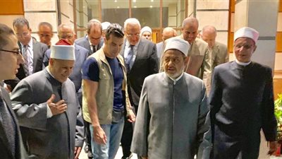 شيخ الأزهر يصل إلى مطار القاهرة بعد رحلة علاجية بألمانيا وفرنسا