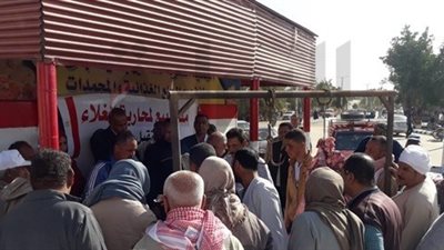 الوادي الجديد تطرح لحوما طازجة بسعر 90 جنيها للمواطنين