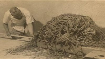 سلسلة ندوات علمية لكشف أسرار مركب خوفو