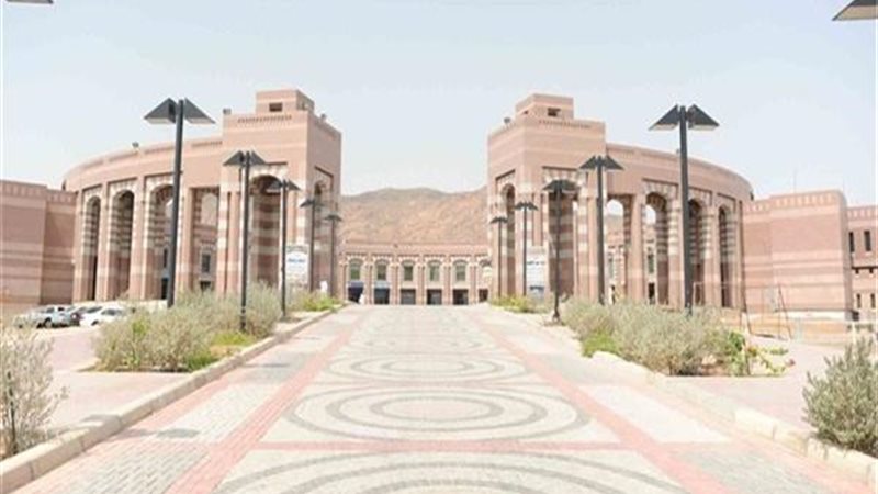 جامعة نيو جيزة
